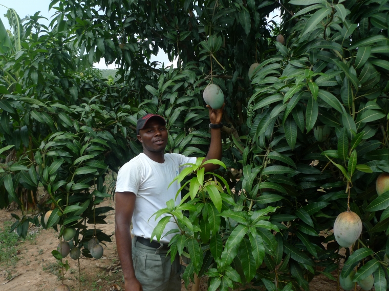 Read more about the article Agritainment: A Catalyst For Agribusiness Growth In Africa