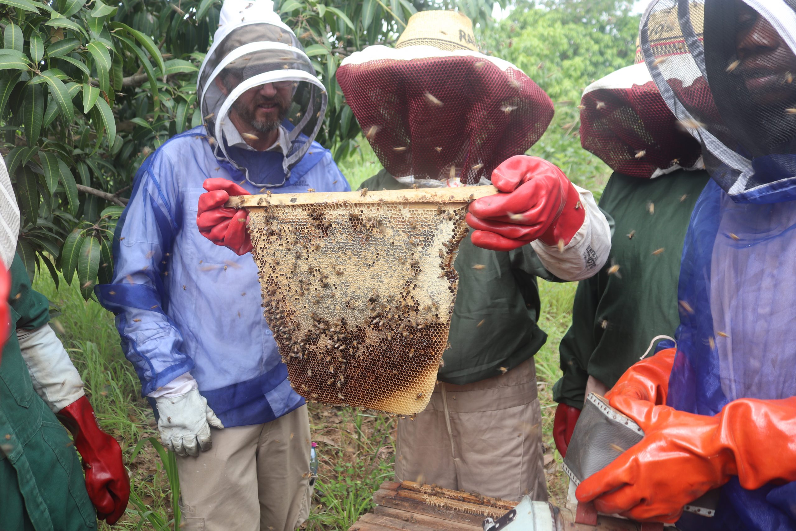 Read more about the article Walewale Field