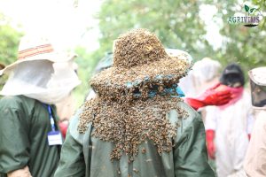 Read more about the article Yendi Field Visits