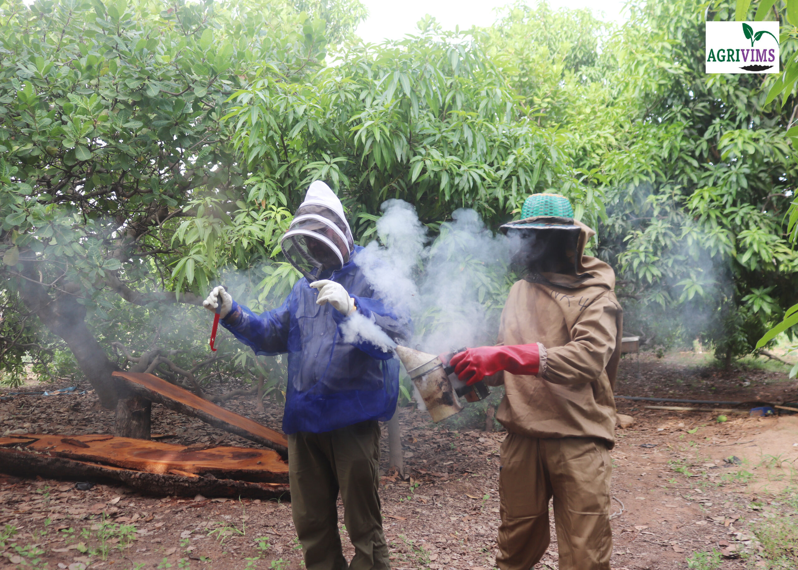 Read more about the article Walewale Field’23